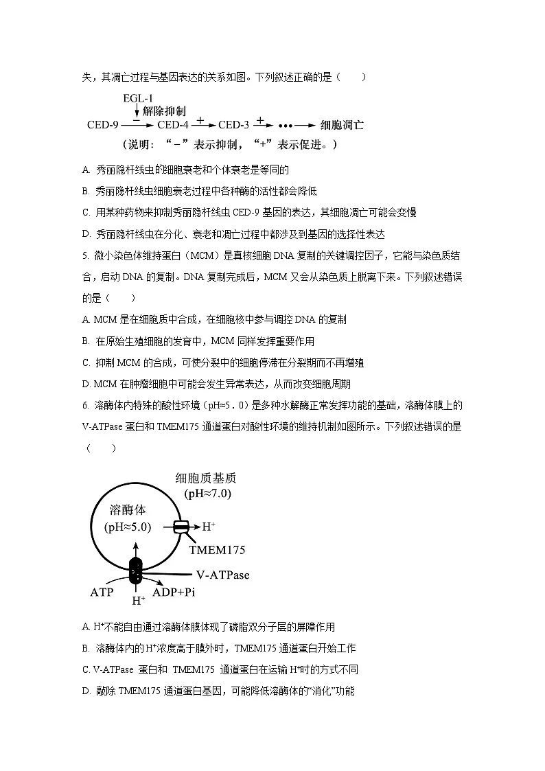 东北精准教学联盟2026届高三上学期10月联考生物试卷(学生版)第2页