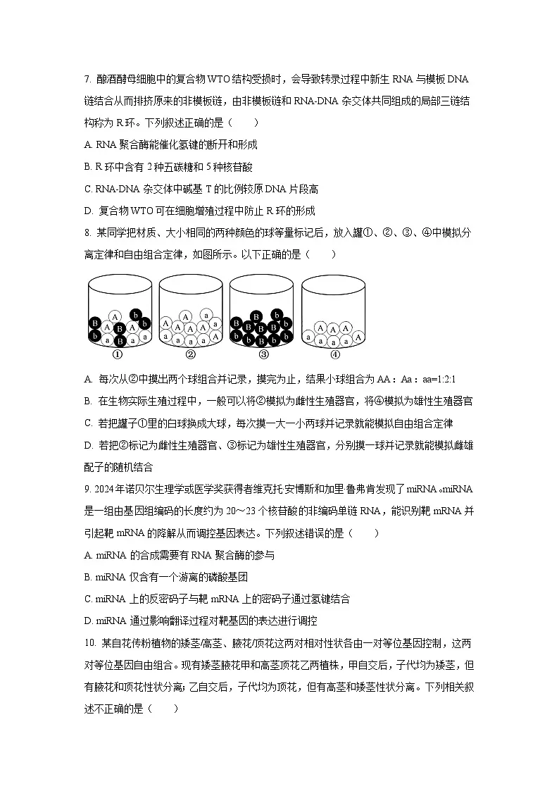 东北精准教学联盟2026届高三上学期10月联考生物试卷(学生版)第3页