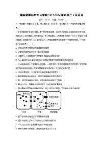 湖南省娄底市部分学校2025-2026学年高三上9月月考生物试卷（学生版）