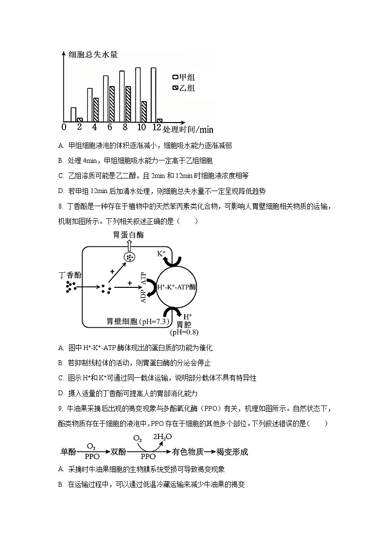 山东省百校大联考2025-2026学年高三上学期10月月考生物试卷(学生版)第3页