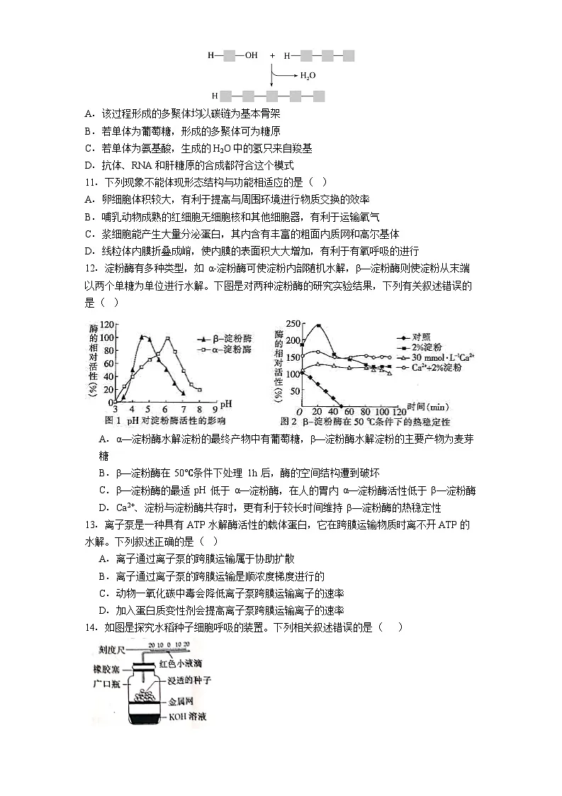 凯里市第一中学2025-2026学年高三上学期9月检测生物试卷第3页