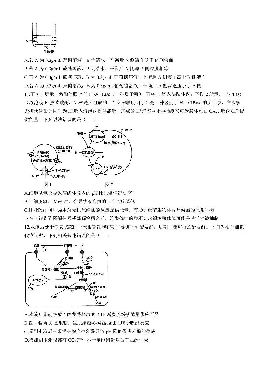 湖北省荆楚优质高中联盟2024-2025学年高一下学期3月月考生物学试卷(含答案)第3页