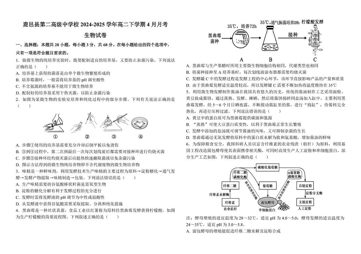 河南省周口市鹿邑县第二高级中学校2024-2025学年高二下学期4月月考生物学试题(含答案)第1页