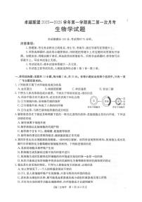 河北省邢台市卓越联盟2025-2026学年高二上学期10月第一次月考试题 生物 PDF版含解析