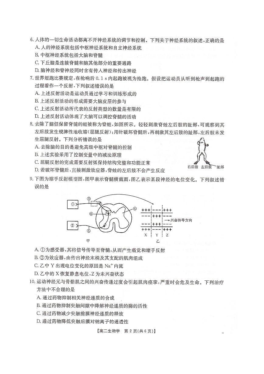 河北省邢台市卓越联盟2025-2026学年高二上学期10月第一次月考试题 生物 PDF版含解析第2页