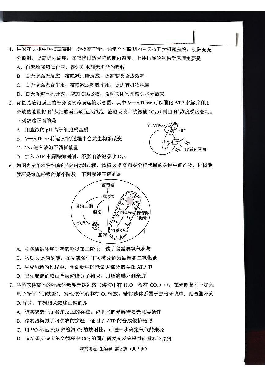 陕西省安康市部分学校联考2025-2026学年高三上学期10月月考生物试题第2页