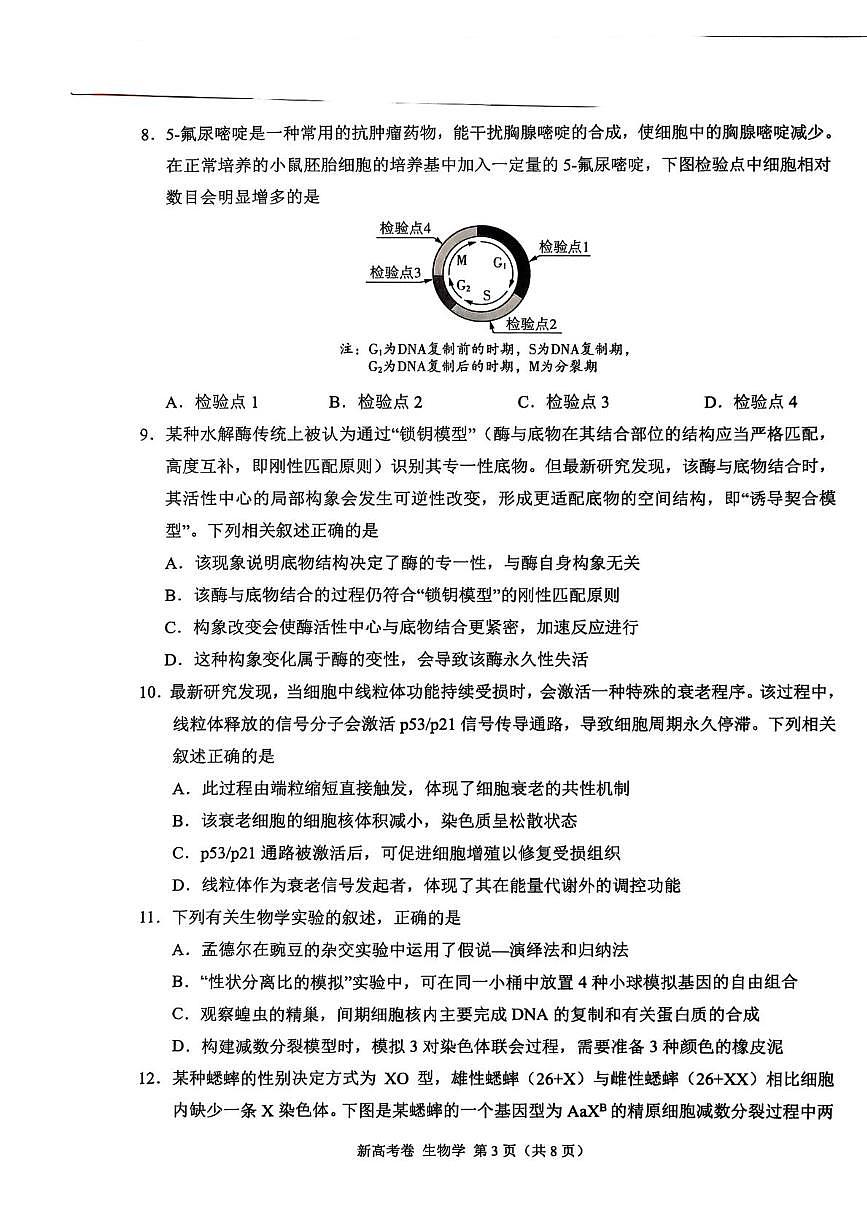 陕西省安康市部分学校联考2025-2026学年高三上学期10月月考生物试题第3页