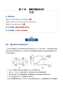 第11讲 细胞代谢综合分析(专项训练)(含答案)2026年高考生物一轮复习讲练测(全国通用)
