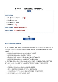 第14讲 细胞的分化、衰老和死亡（专项训练）（含答案）2026年高考生物一轮复习讲练测（全国通用）