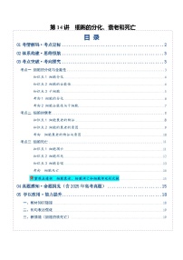 第14讲 细胞的分化、衰老和死亡（复习讲义）（全国通用）（含答案）2026年高考生物一轮复习讲练测（全国通用）