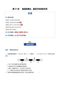 第21讲 基因的表达、基因与性状的关系(专项训练)(含答案)2026年高考生物一轮复习讲练测(全国通用)