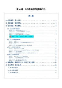 第35讲 生态系统的功能及稳定性（复习讲义）（全国通用）（含答案）2026年高考生物一轮复习讲练测（全国通用）