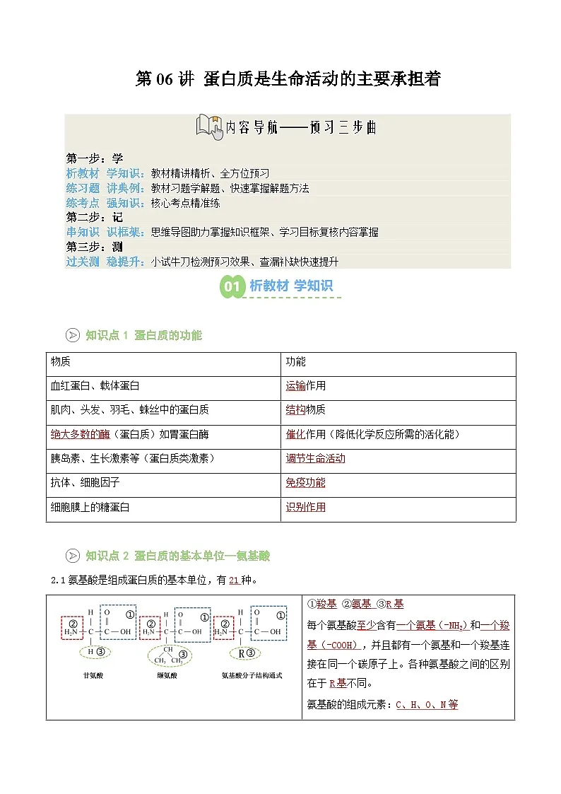 【01-暑假预习】第06讲 蛋白质是生命活动的主要承担者(教师版)-2025年新高一生物暑假衔接讲练 (人教版)第1页