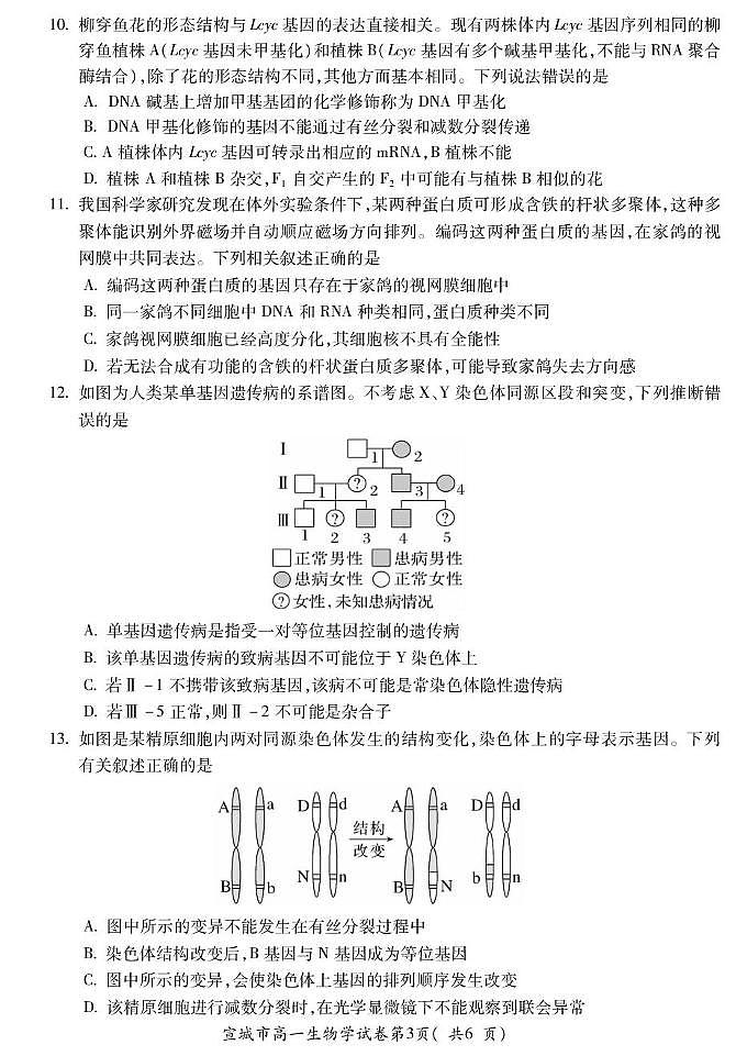 宣高一生物(试卷)第3页
