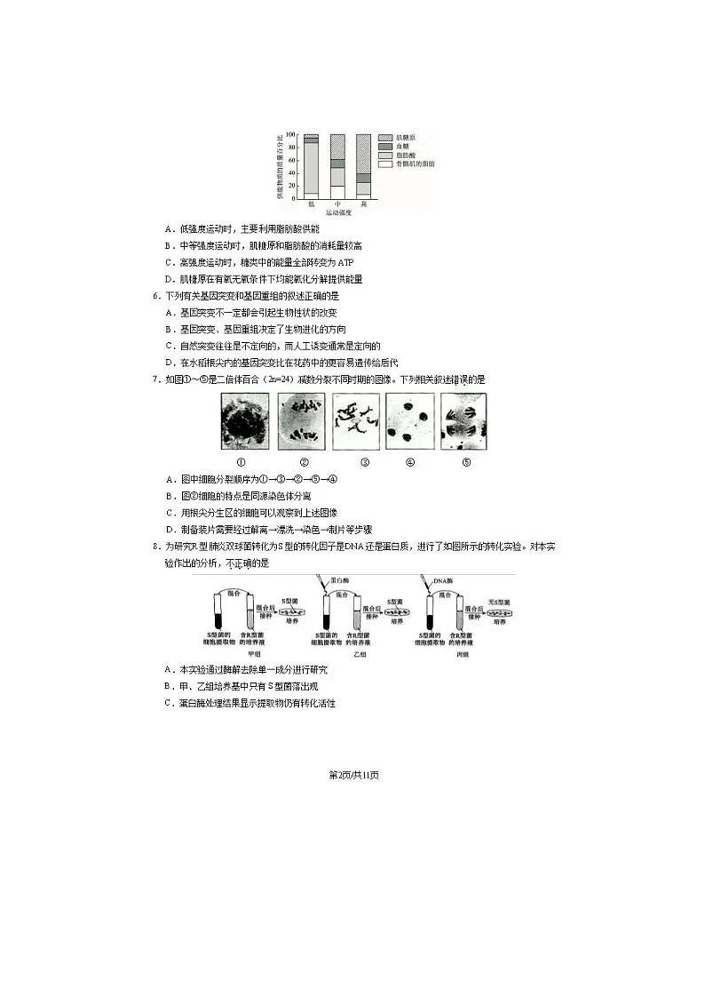 2023-2024学年北京房山区高一下学期期末生物试题及答案第2页