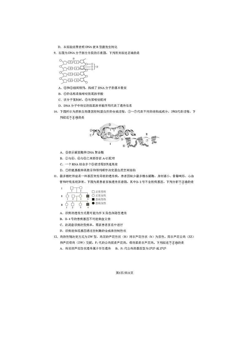2023-2024学年北京房山区高一下学期期末生物试题及答案第3页