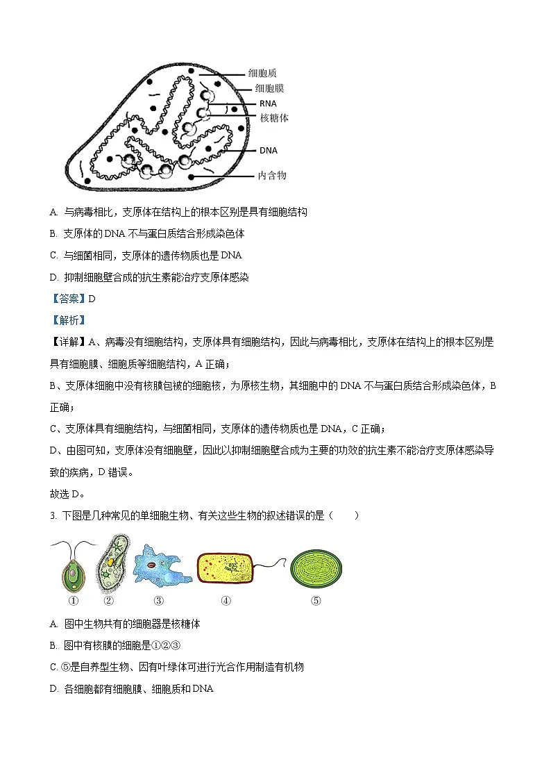 江苏省连云港市赣榆区新海高级中学2025-2026学年高一上学期10月月考生物试题(解析版)第2页