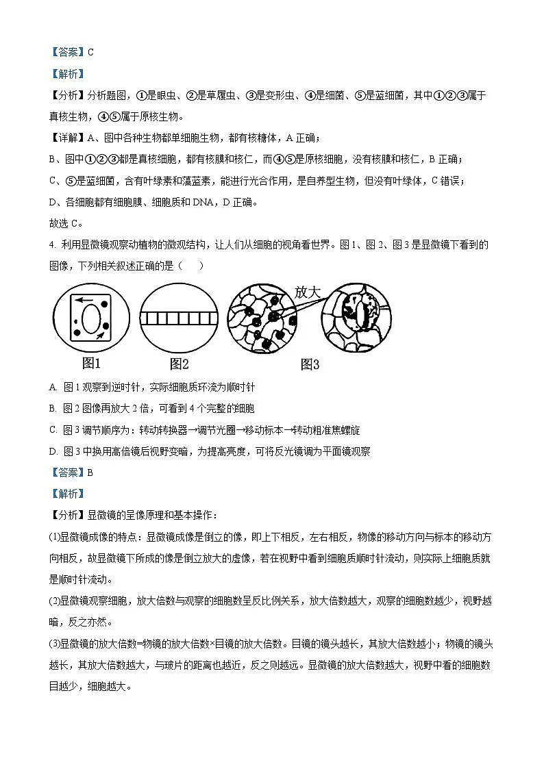 江苏省连云港市赣榆区新海高级中学2025-2026学年高一上学期10月月考生物试题(解析版)第3页
