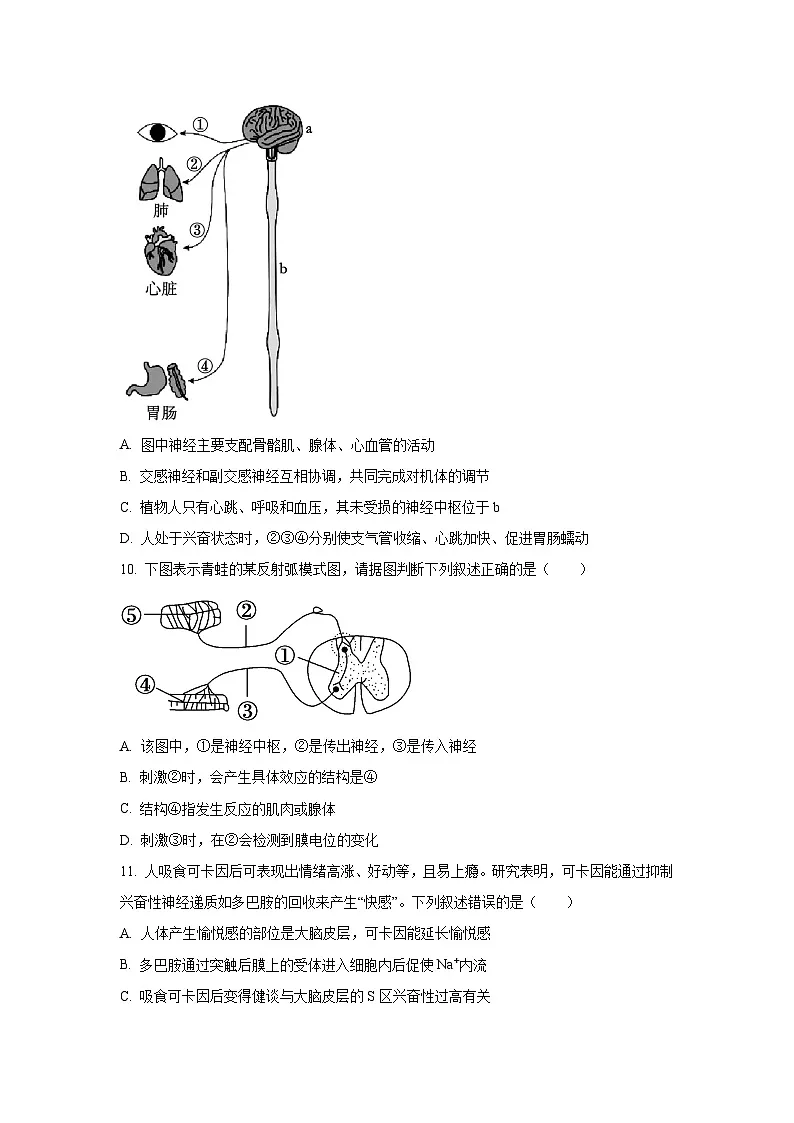 【生物】陕西省咸阳市永寿县2025-2026学年高二上学期第一次月考(学生版) 第3页