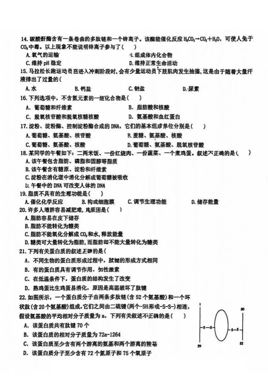 黑龙江省哈尔滨市第六中学校2025-2026学年高一上学期10月月考生物试卷(月考)第3页