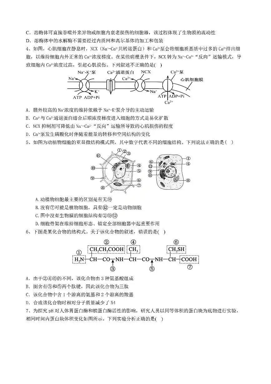 生物-辽宁省大连市滨城高中联盟2026届高三上学期期中试题及答案第2页