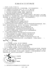 四川省内江市多校联考2026届高三上学期10月月考生物试卷+答案