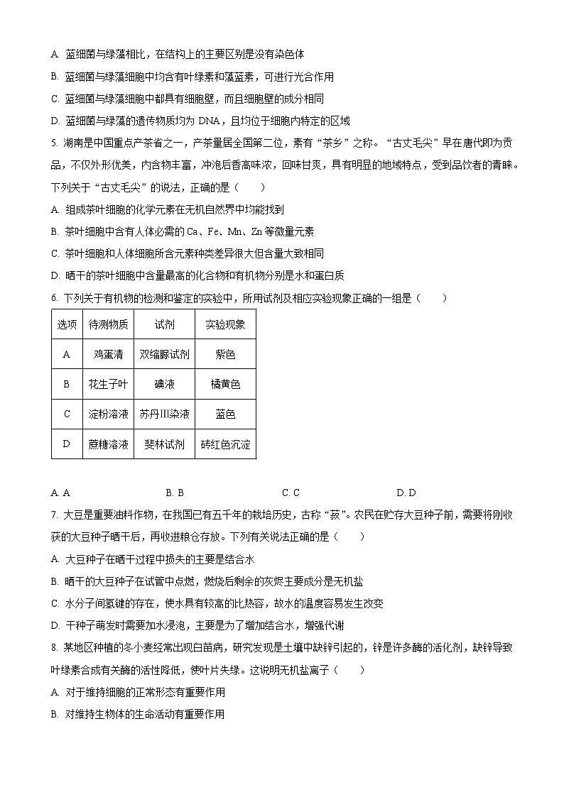 湖南省名校联考2025-2026学年高一上学期10月月考生物试题(原卷版)第2页