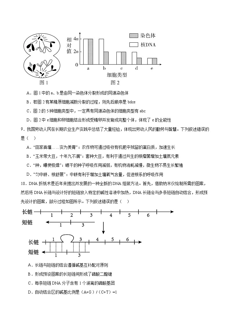 辽宁省大连市第二十四中学2026届高三上学期期中Ⅰ考试生物试题(Word版附答案)第3页