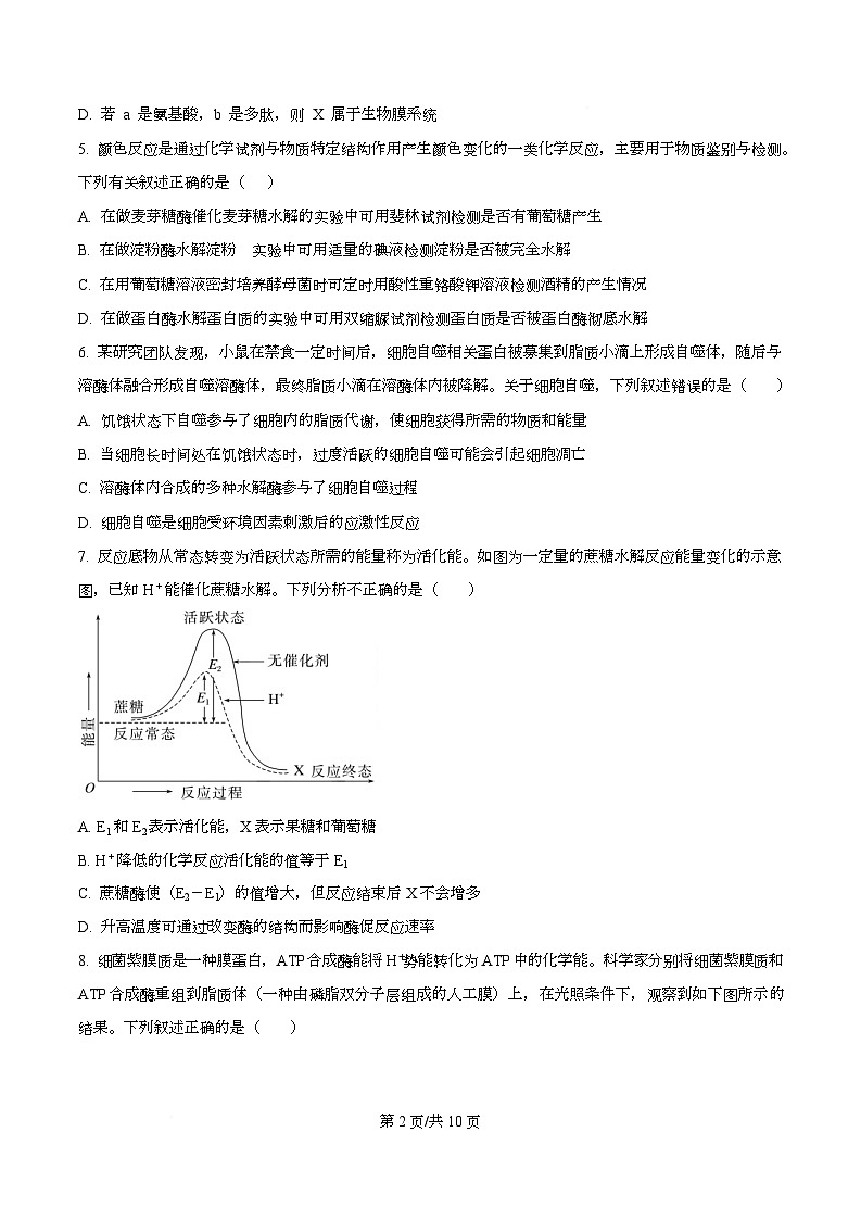 四川省广安中学2026届高三上学期10月月考生物试题(原卷版)第2页