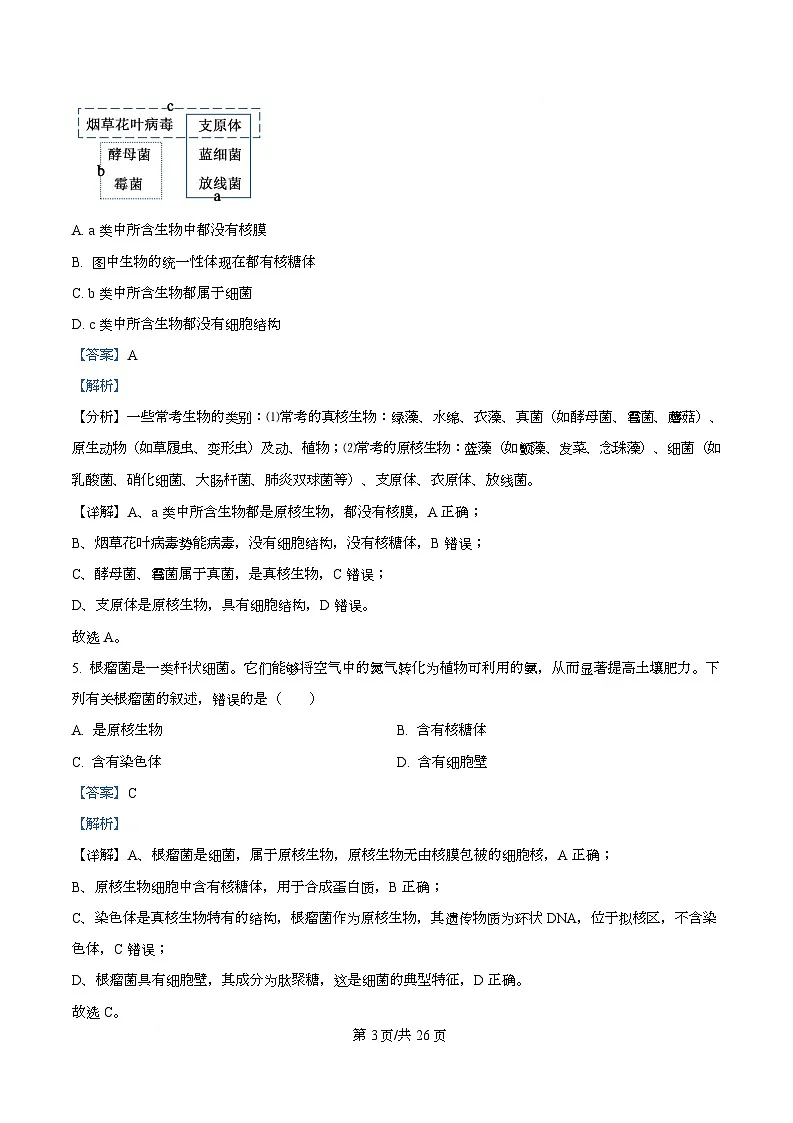 四川省南充市西充中学2025-2026学年高一上学期10月月考生物试题(强基班) Word版含解析第3页