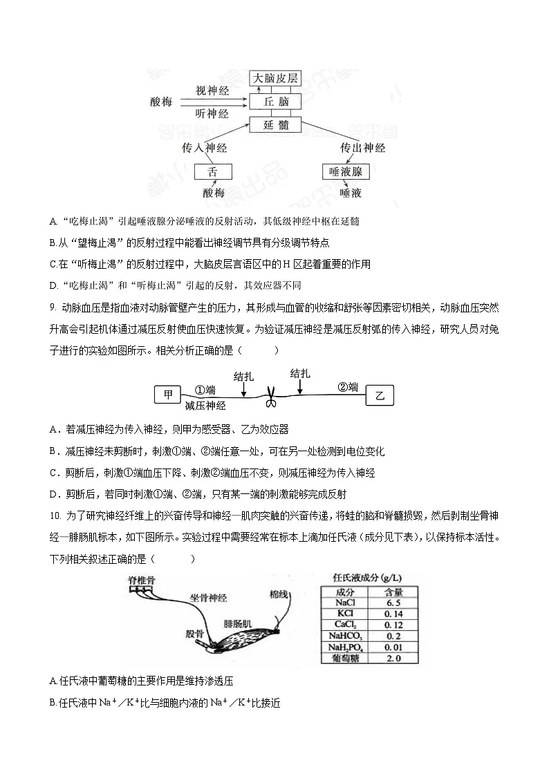 云南省玉溪第一中学2025-2026学年高二上学期第一次月考生物试题(Word版附答案)第3页