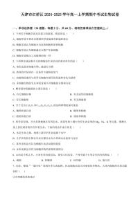 天津市红桥区2024-2025学年高一上学期期中考试生物试卷含答案