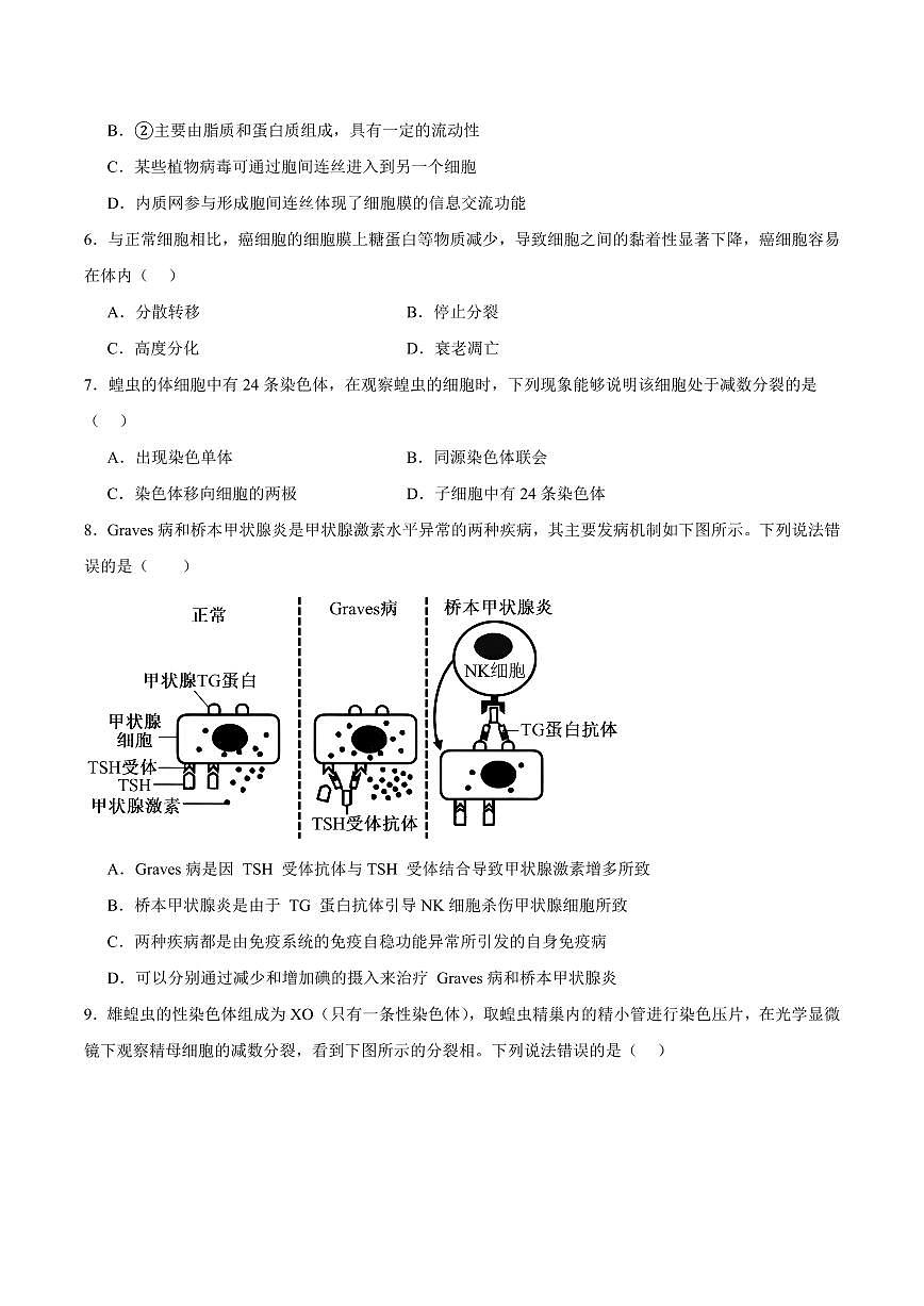 江苏省南京一中2026届高三上学期10月月考生物试题+答案第2页
