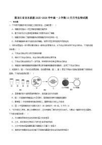 黑龙江省龙东联盟2025-2026学年高一上学期10月月考生物试卷（Word版附答案）