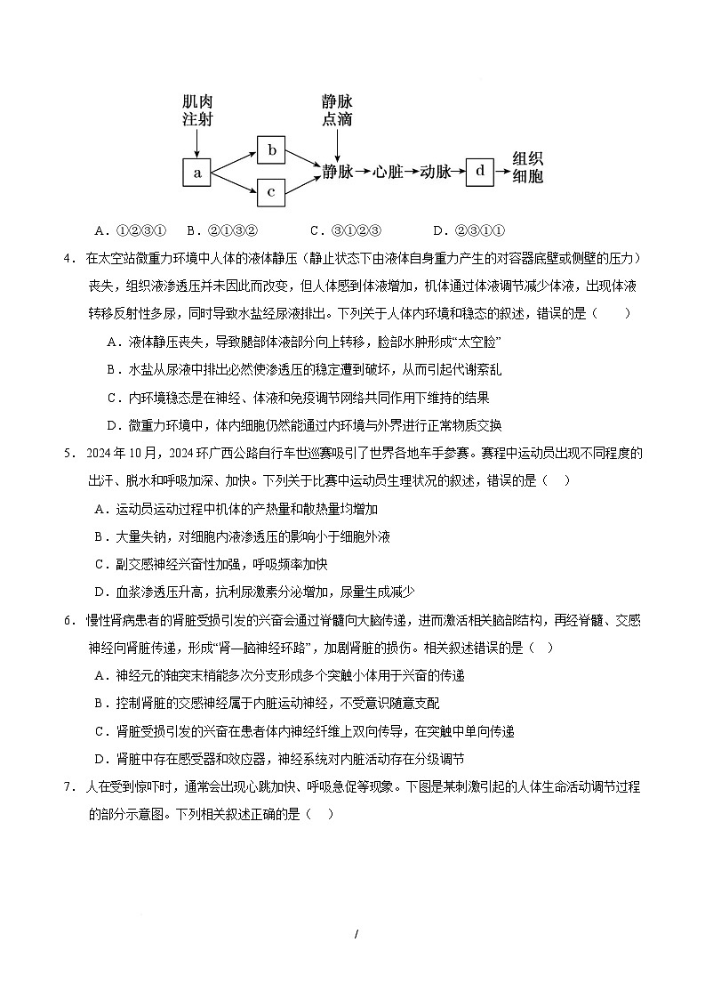 2025-2026学年高二生物上学期第一次月考试题生物试卷(四川专用)(考试版)第2页