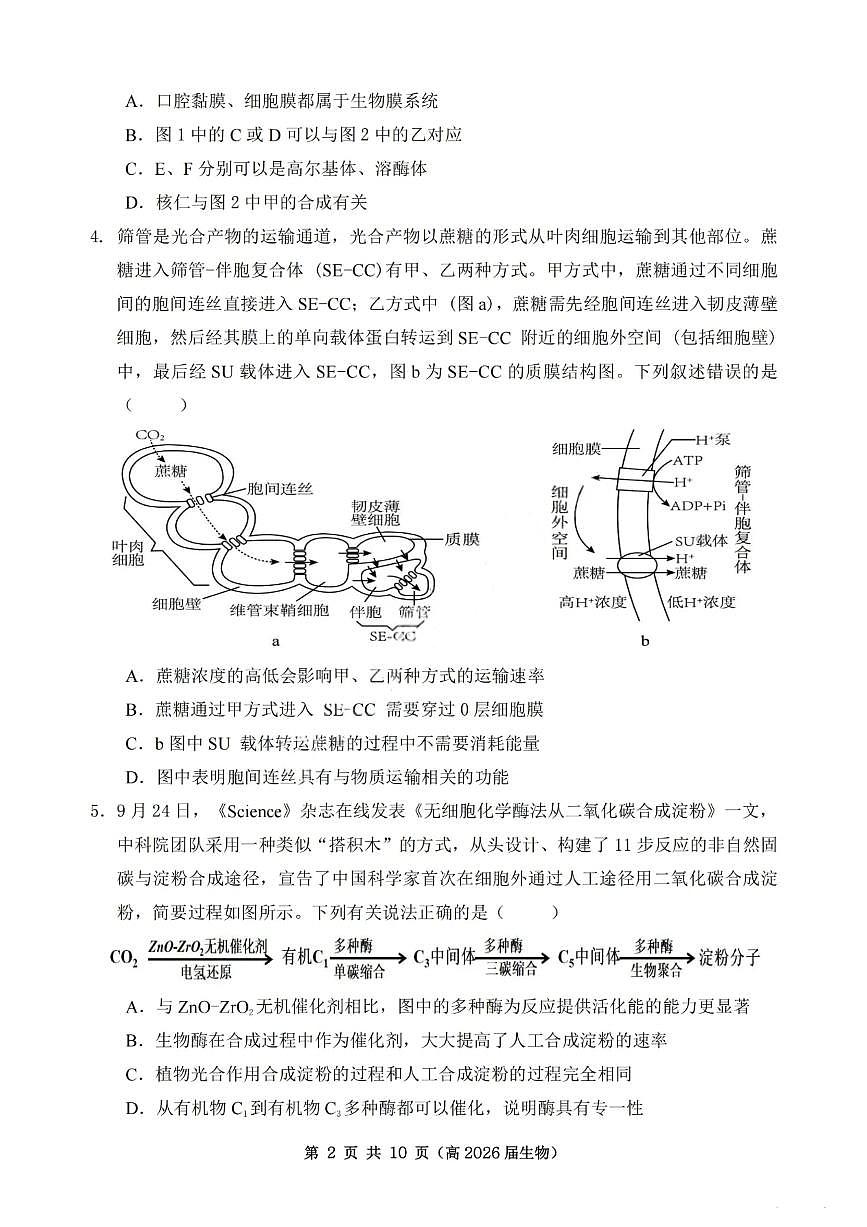 重庆市名校联盟2026届高三上学期10月第一次联合考试生物试题+答案第2页