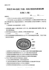 河北省2026届高三上学期10月一轮复习阶段性质量检测生物试题+答案