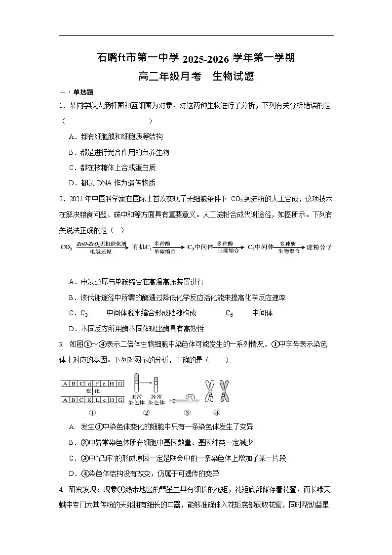 宁夏石嘴山市第一中学2025-2026学年高二上学期10月月考生物试卷第1页