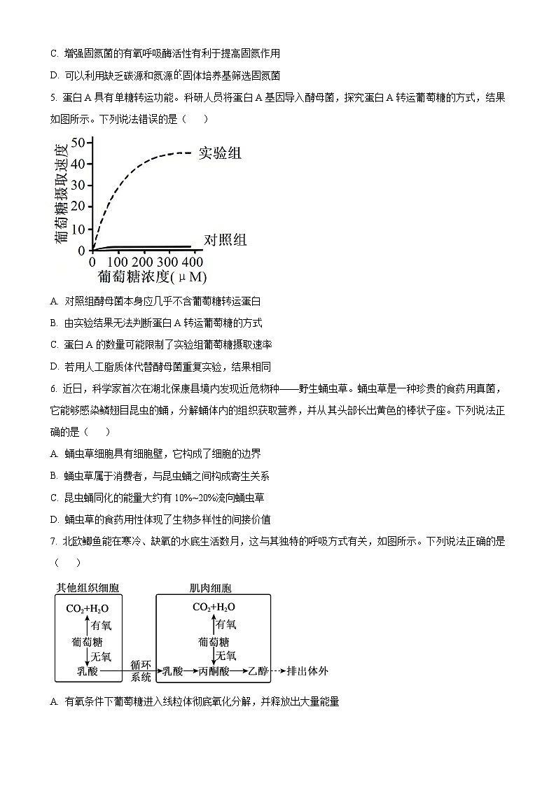 湖北省腾云联盟2026届高三上学期10月月考生物试题(原卷版)第2页