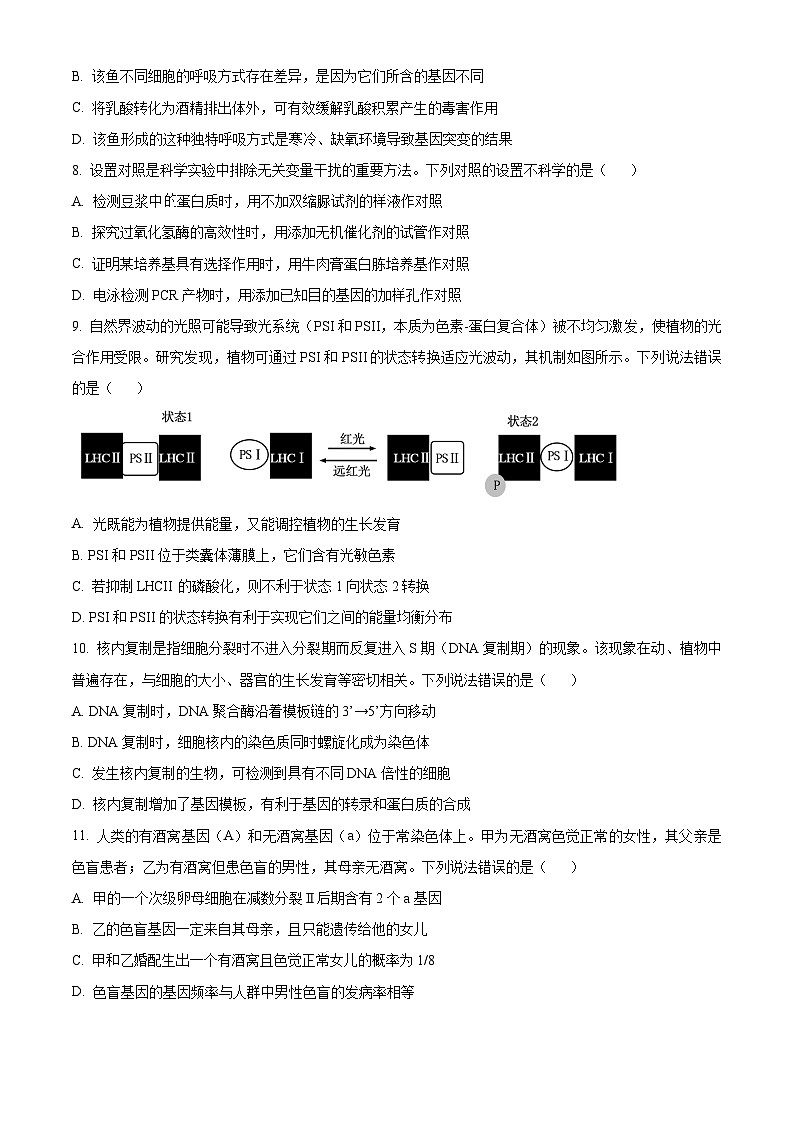 湖北省腾云联盟2026届高三上学期10月月考生物试题(原卷版)第3页