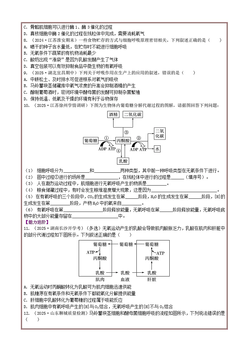 5.3细胞呼吸的原理和应用(第2课时+)习题+2025—2026学年高一上学期生物人教版必修1第2页