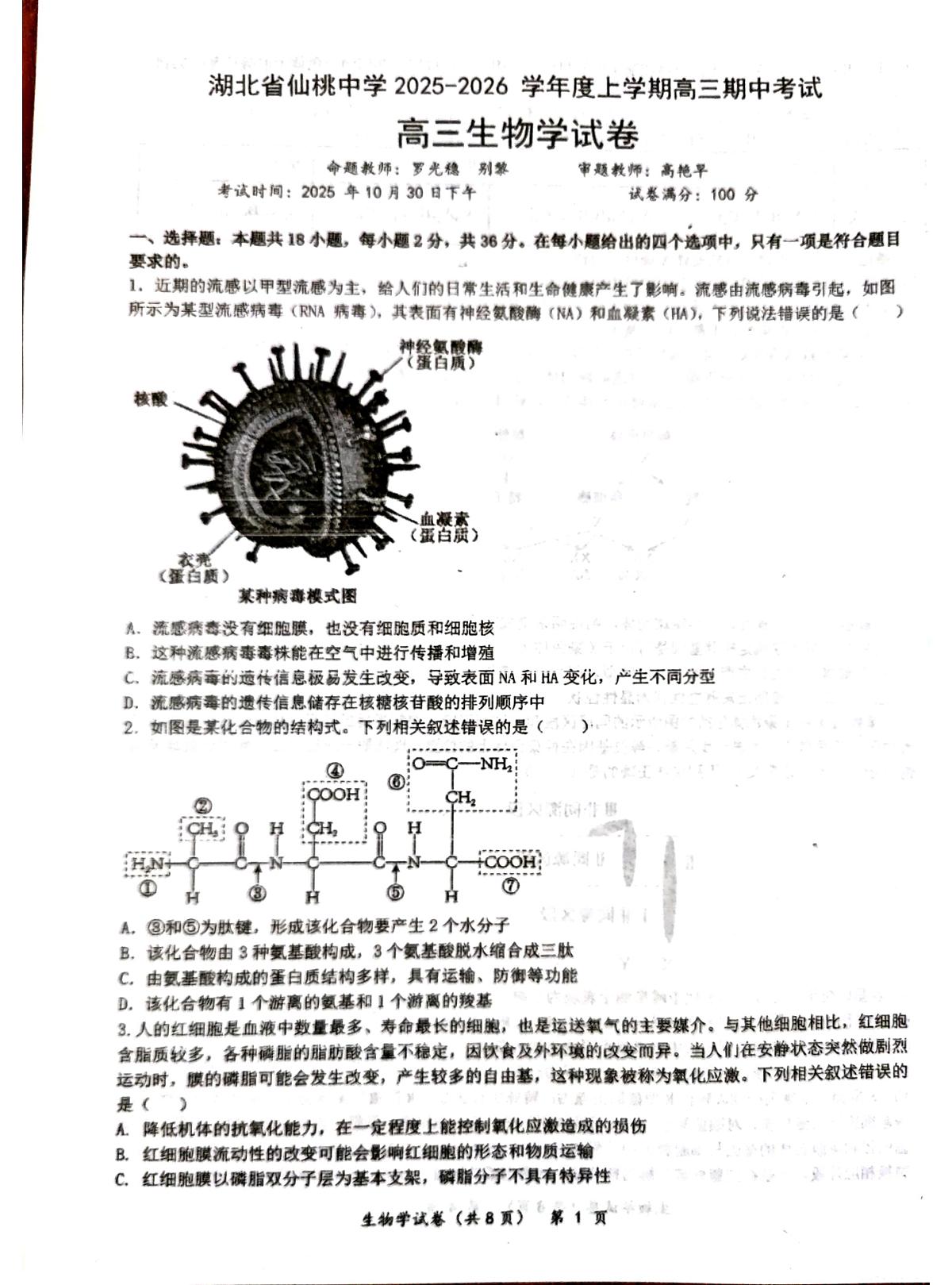 湖北省仙桃中学2025-2026学年高三上学期10月期中考试生物试题第1页