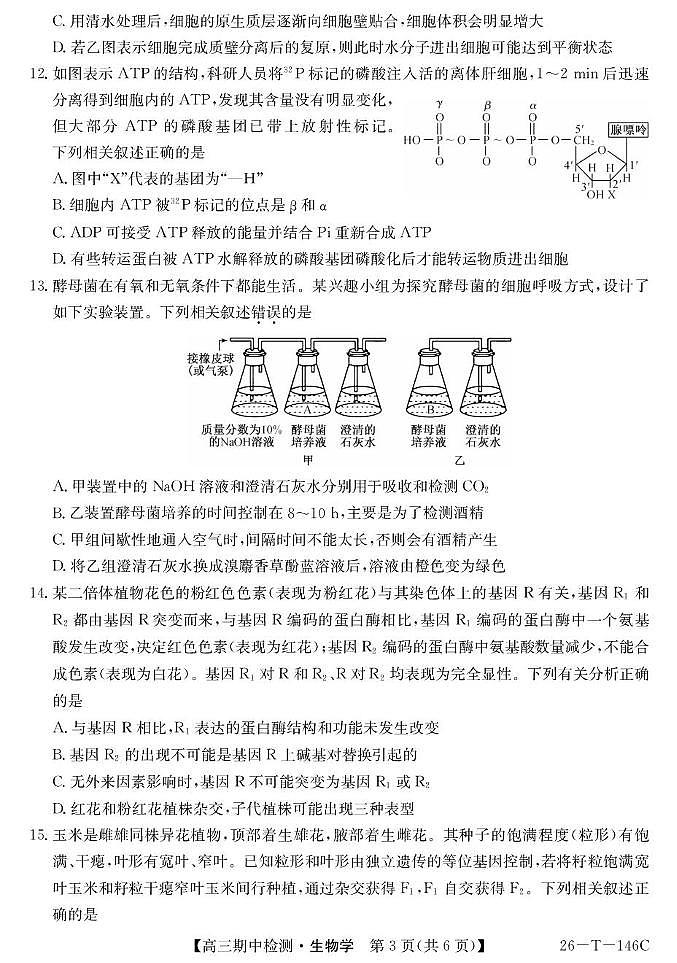 青海省大通县朔山中学2025-2026学年度第一学期期中检测高三生物 26-T-146C-生物第3页
