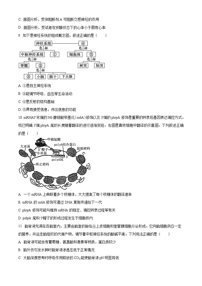 湖北省荆州市沙市中学2025-2026学年高二上学期10月月考生物试题(原卷版)第3页