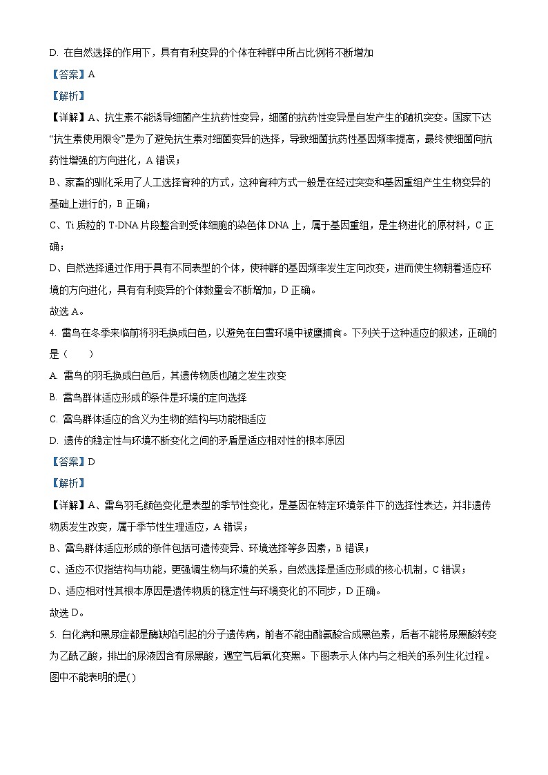 湖北省荆州市沙市中学2025-2026学年高二上学期10月月考生物试题 Word版含解析第2页
