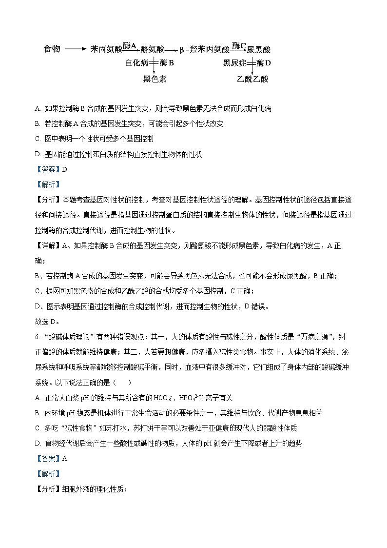 湖北省荆州市沙市中学2025-2026学年高二上学期10月月考生物试题 Word版含解析第3页