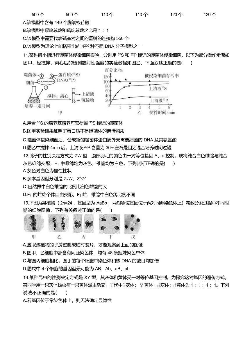 福建省龙岩市一级校联盟2024-2025学年高一下学期4月期中考联考试题生物试卷+答案第3页