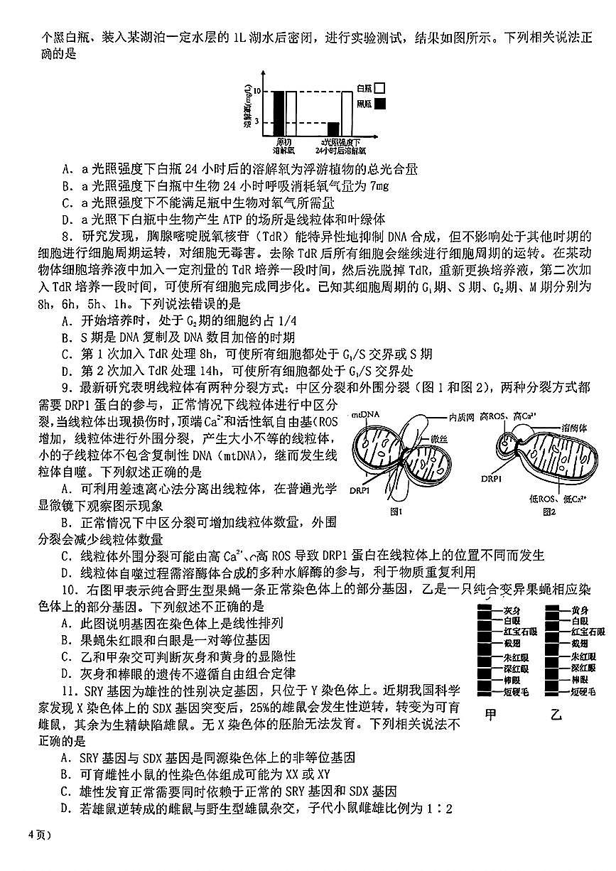 2024北京十一学校高一(上)期末生物试卷第2页