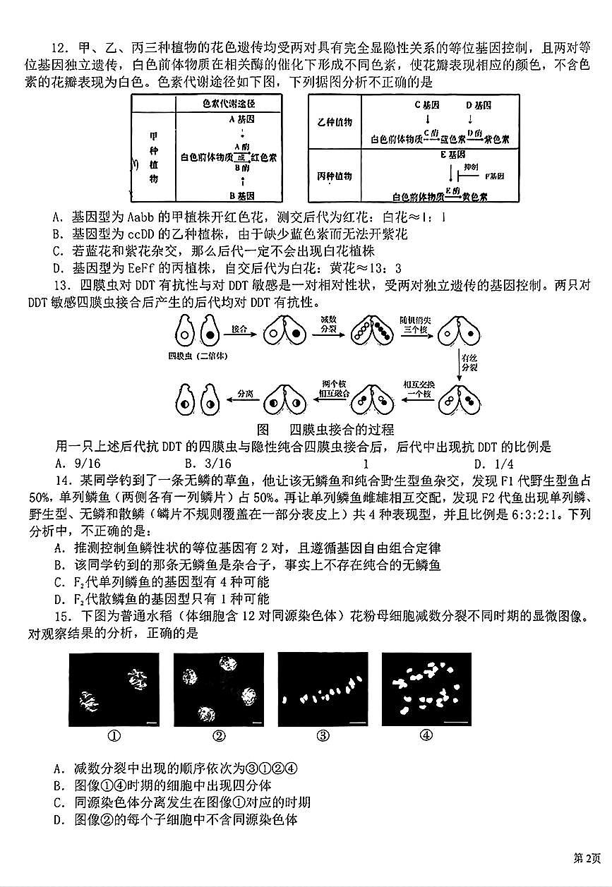2024北京十一学校高一(上)期末生物试卷第3页