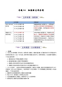 备战2026年高考近五年(2021-2025)高考生物真题分类汇编(山东专用)专题04细胞的生命历程(原卷版+解析版)